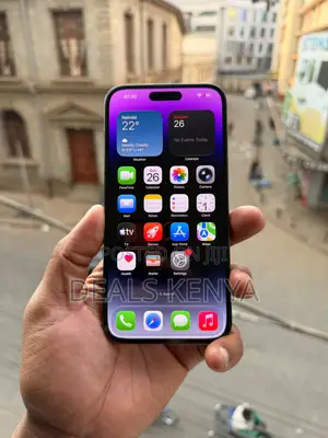 Apple iPhone 14 Pro Max 256 GB Gray