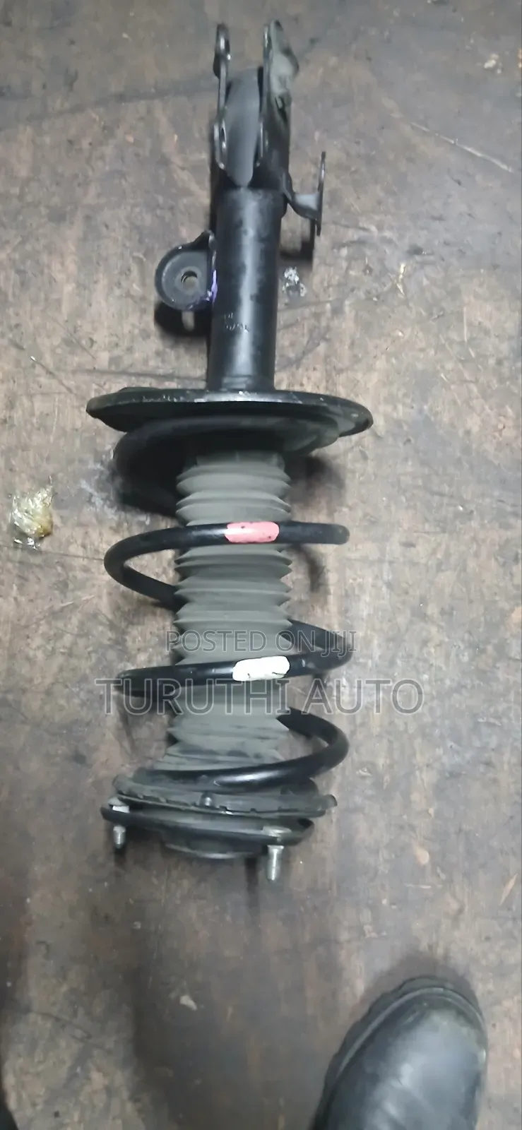 Complete Harrier Shock 260