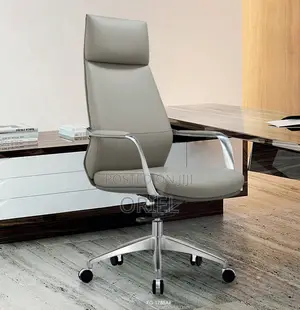 Office Chair : Executive Luxury Office Gray Leather Chair