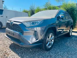 Toyota RAV4 2019 Gray