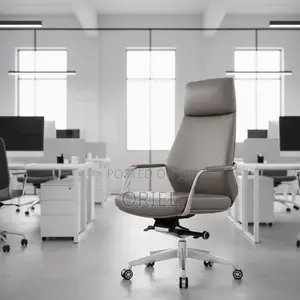 Office Chair : Executive Luxury Office Gray Leather Chair