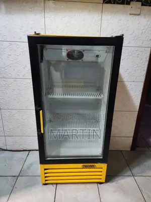 DISPLAY CHILLER Slightly Negotiable