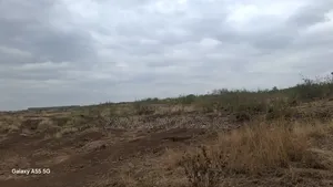 Mwiki Kasarani Prime Plots