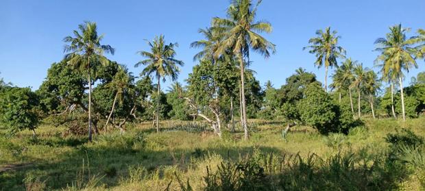3acres and Half Land on Sale at Matuga Next to Kwale Hq Area Burani