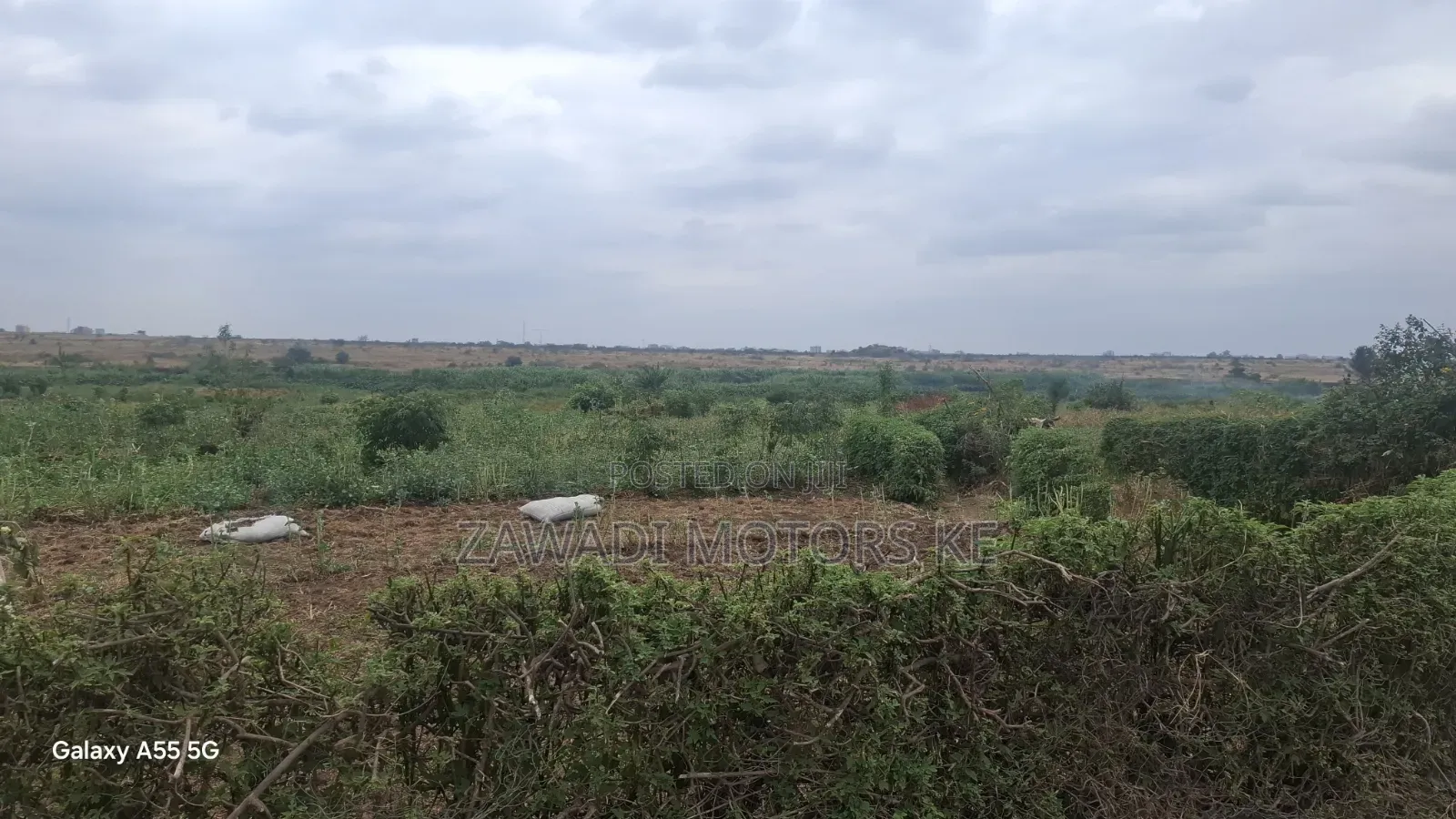 Mwiki Kasarani Plots for Sale