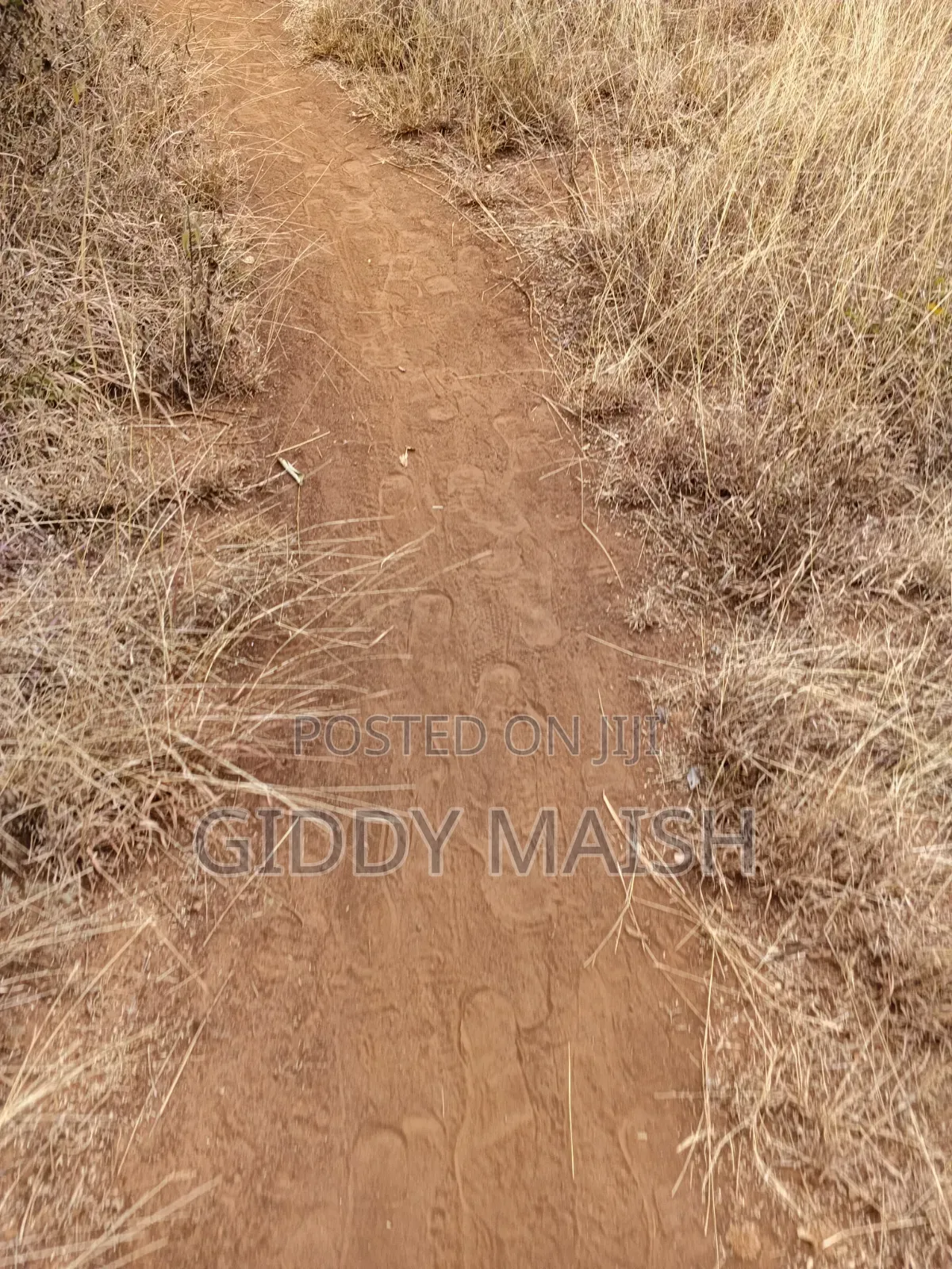 Land Plots for Sale