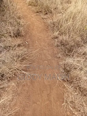 Land Plots for Sale