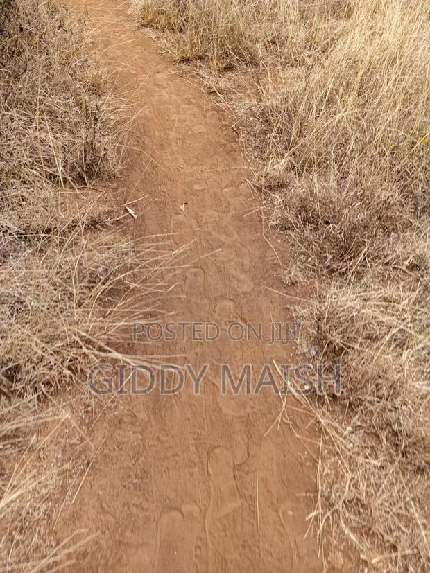 Land Plots for Sale