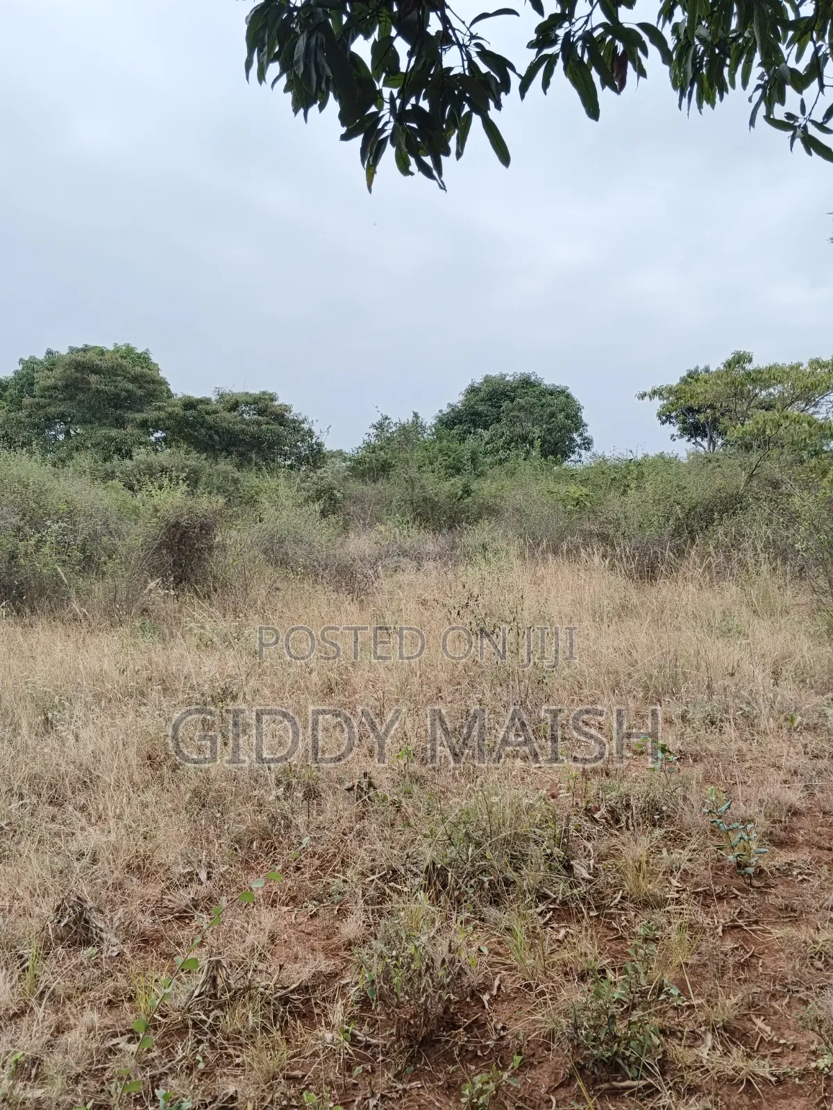Land Plots for Sale