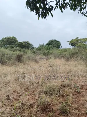 Land Plots for Sale