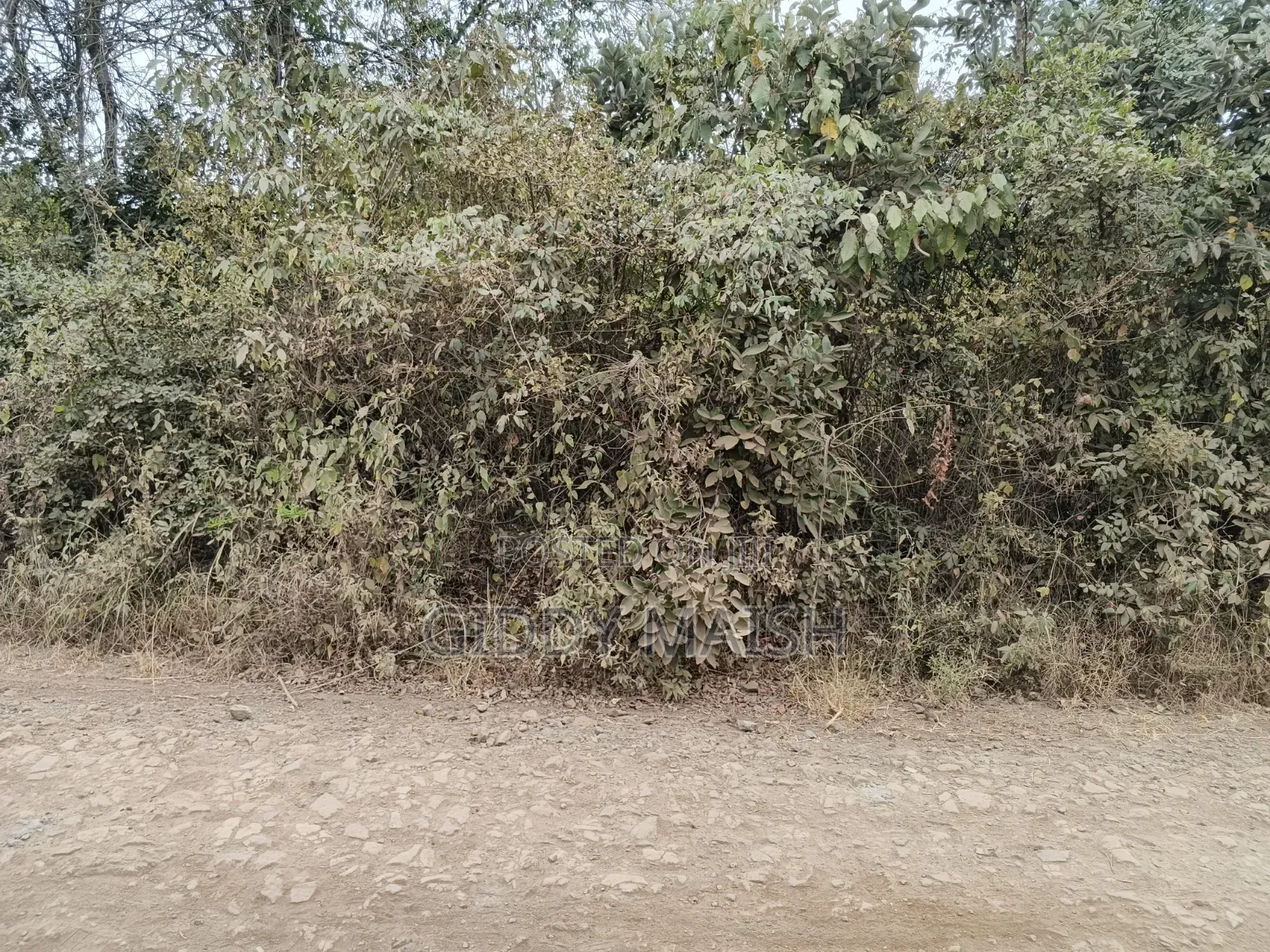 Land Plots for Sale