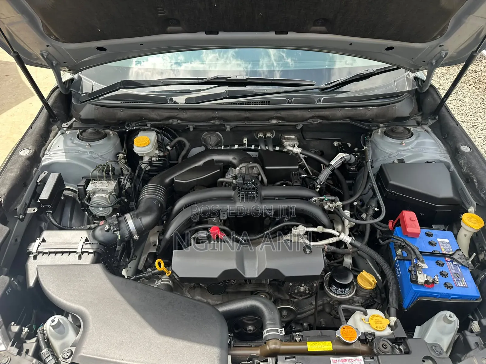 Subaru Outback 2019 Green