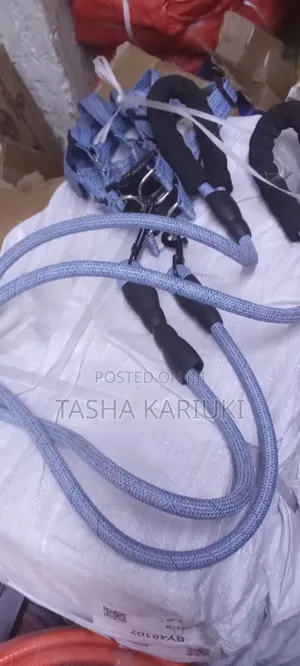 High Quality Dog Leash