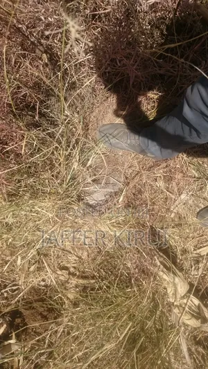 1/4 Acre Plot for Sale Along NKR-Eld Road, Salgaa Behind Simba Cement