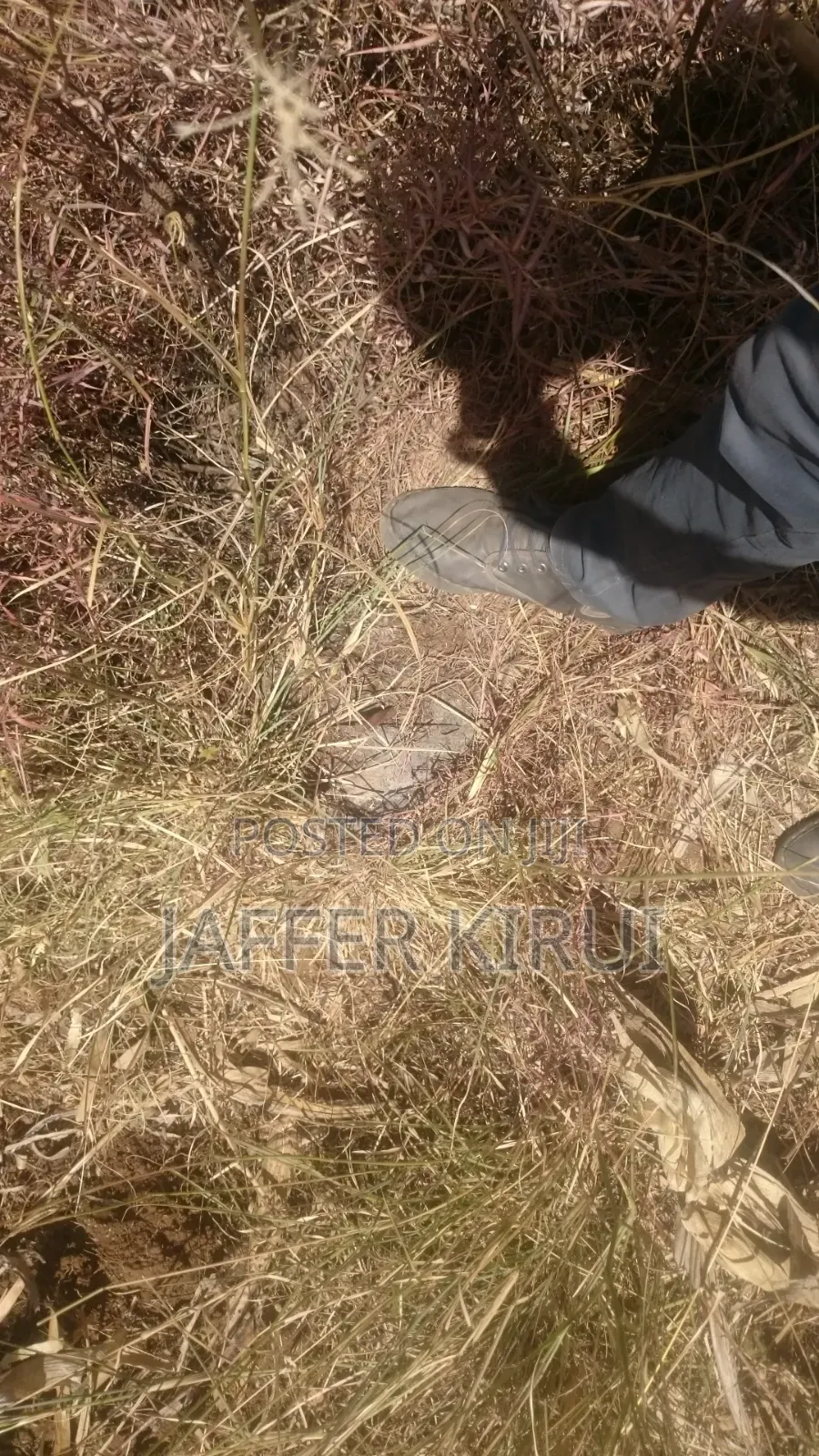 1/4 Acre Plot for Sale Along NKR-Eld Road, Salgaa Behind Simba Cement