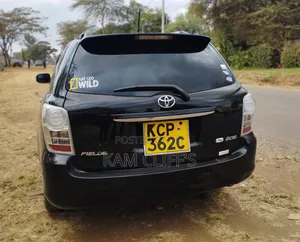 Toyota Corolla Fielder 2011 Black