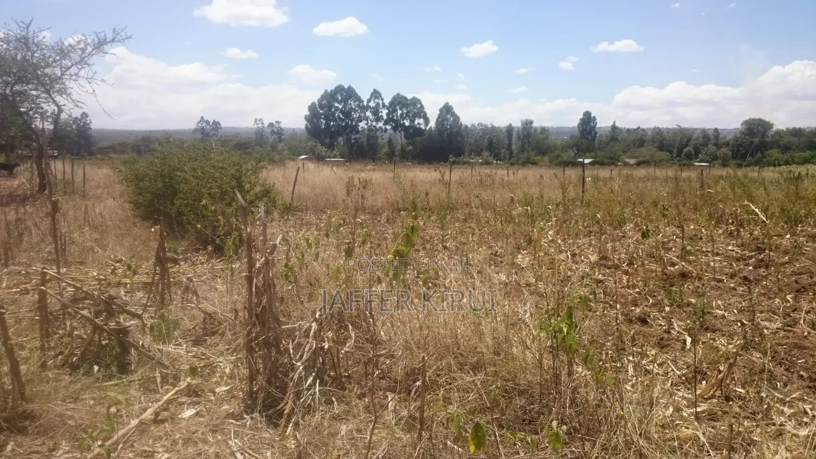 1/4 Acre Plot for Sale Along NKR-Eld Road, Salgaa Behind Simba Cement