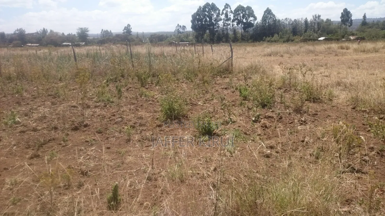 1/4 Acre Plot for Sale Along NKR-Eld Road, Salgaa Behind Simba Cement