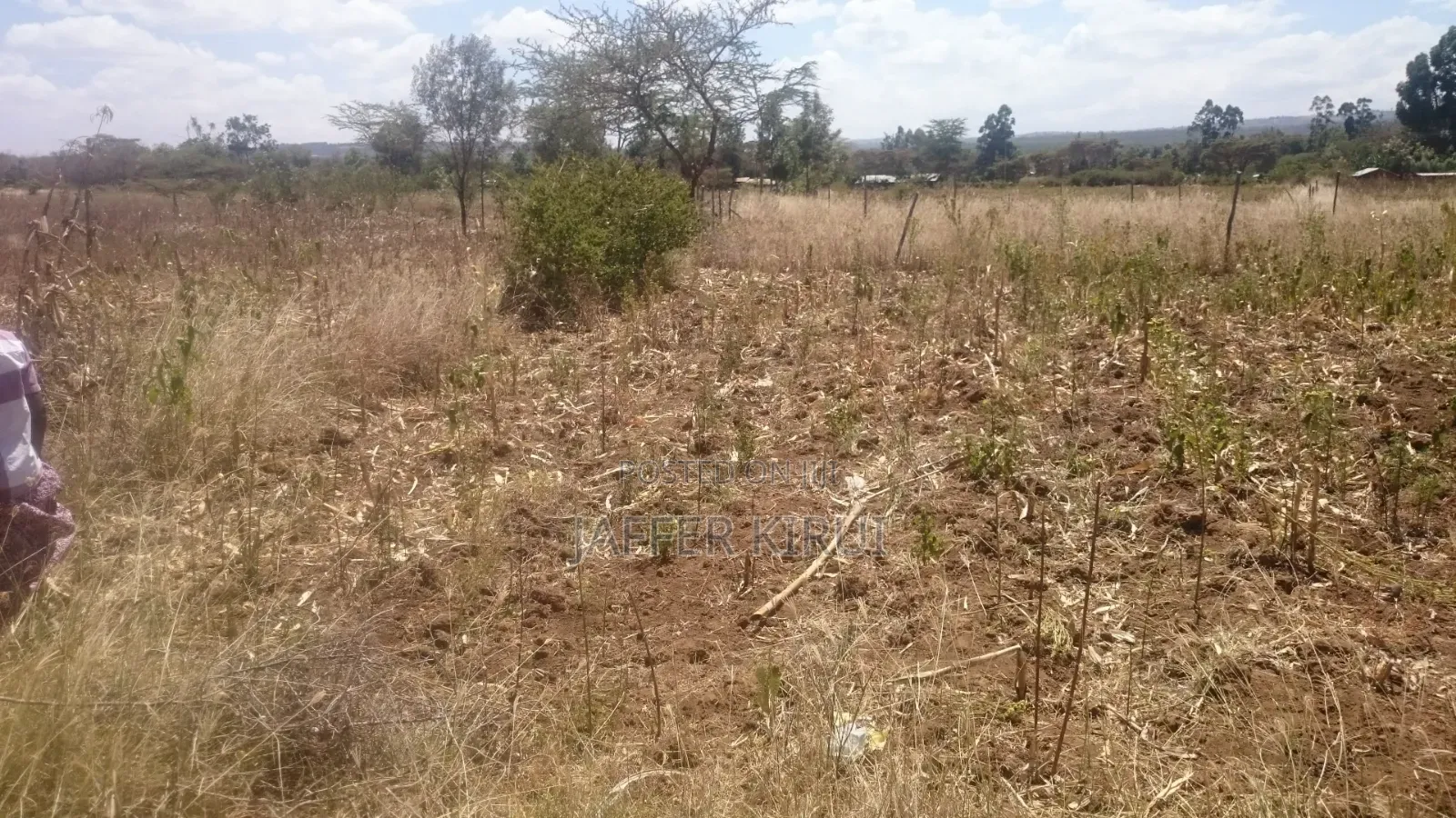 1/4 Acre Plot for Sale Along NKR-Eld Road, Salgaa Behind Simba Cement