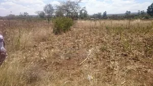 1/4 Acre Plot for Sale Along NKR-Eld Road, Salgaa Behind Simba Cement