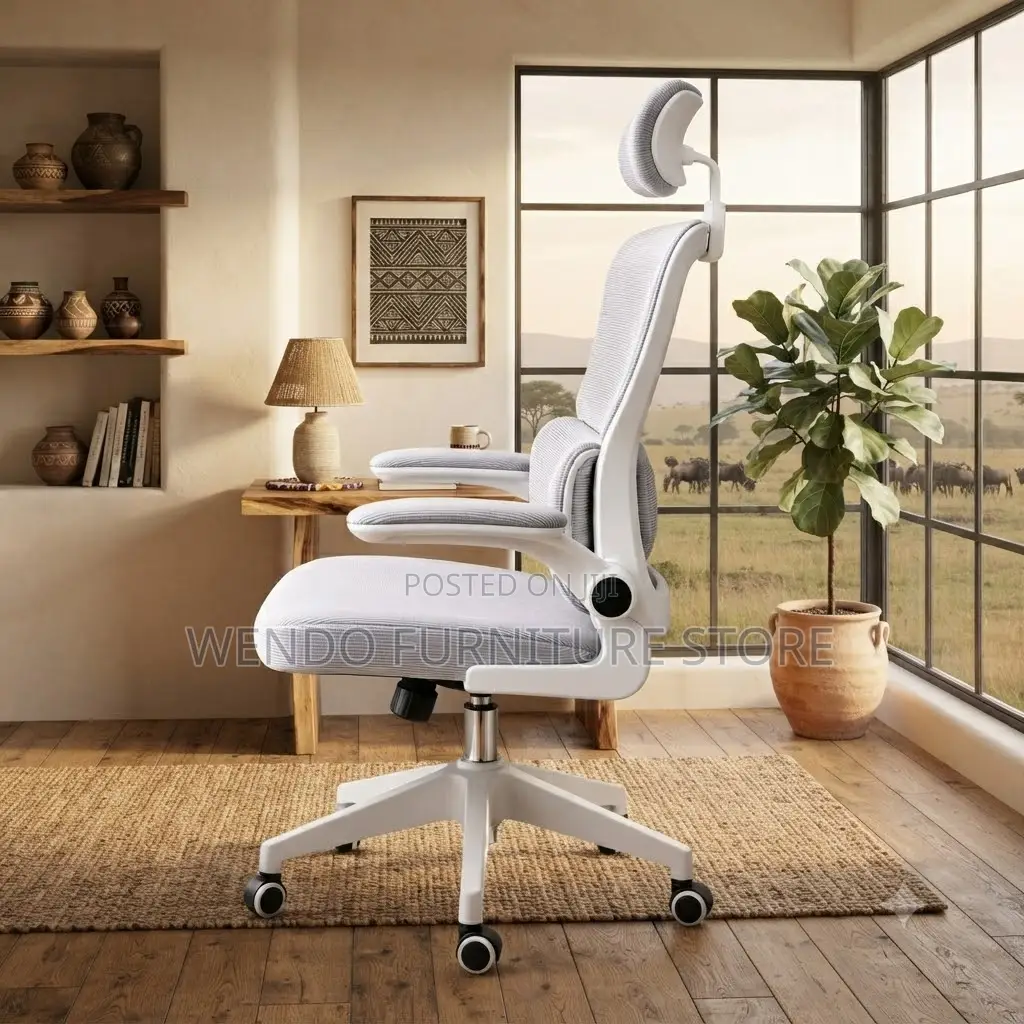 Office Chairs; Home Office Orthopedic Chairs ( in Black and White)