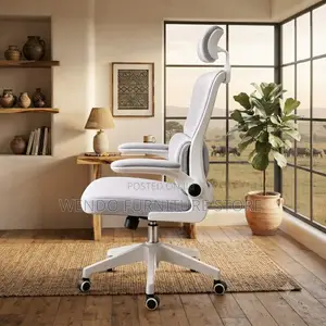 Office Chairs; Home Office Orthopedic Chairs ( in Black and White)