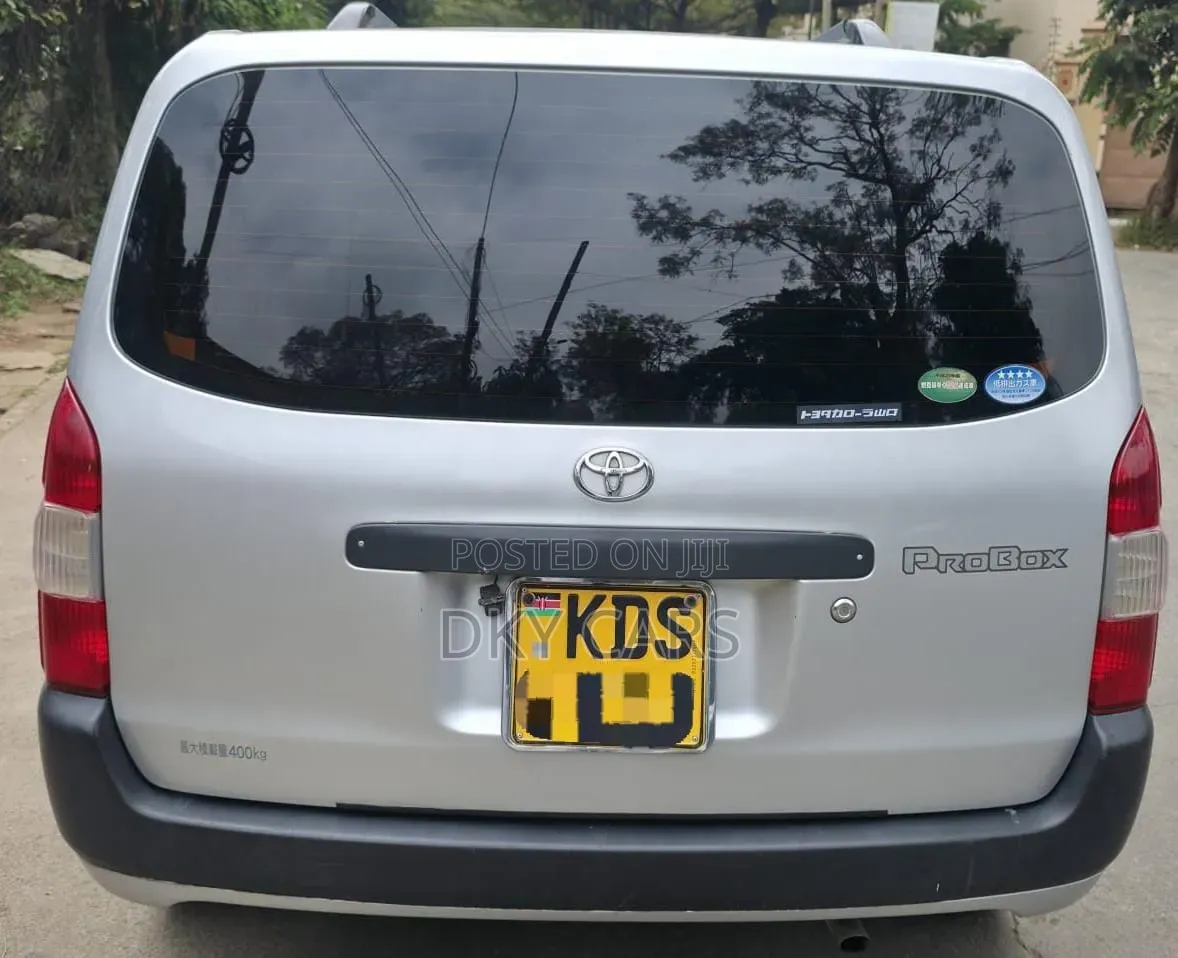 Toyota Probox 2018 Silver
