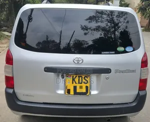 Toyota Probox 2018 Silver