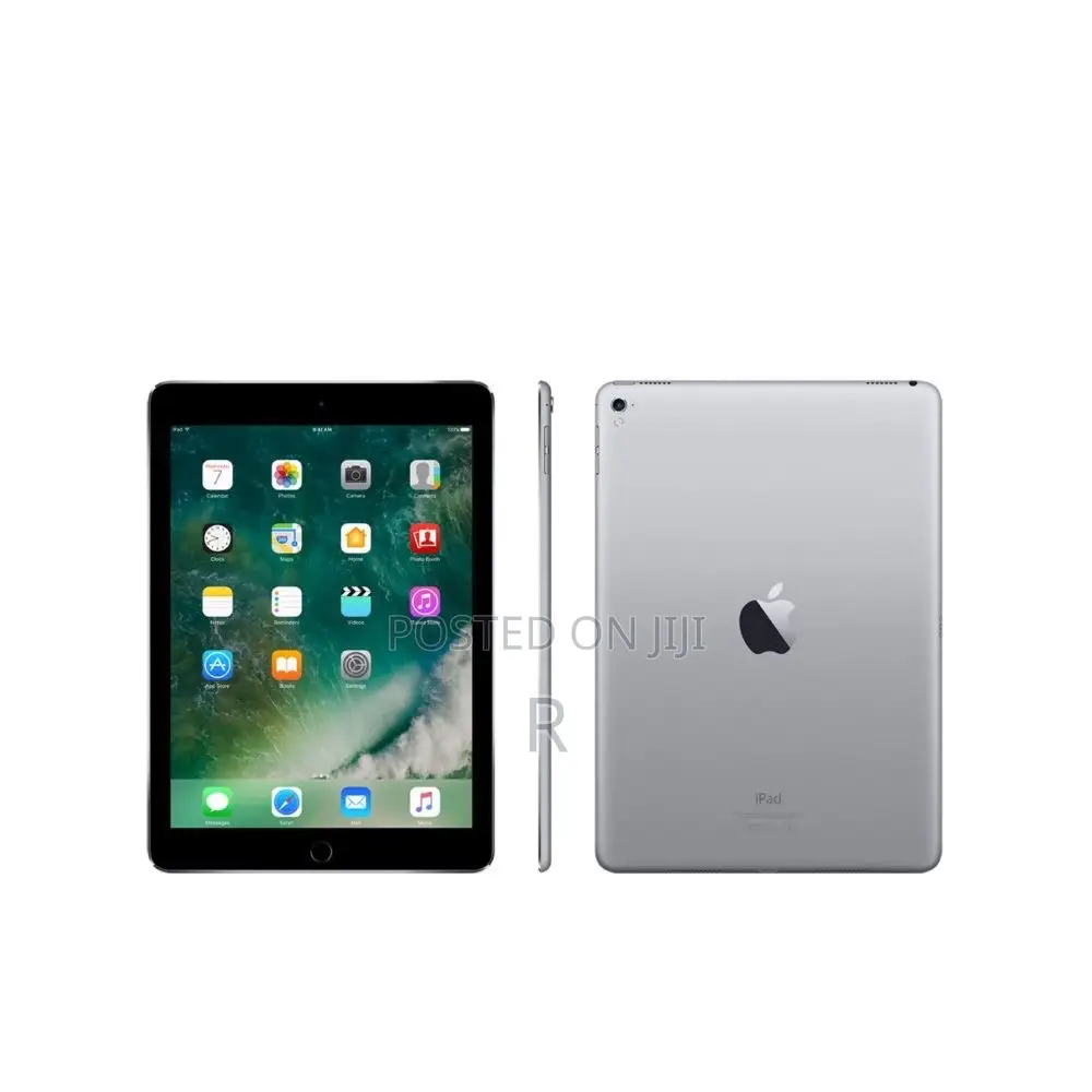 Apple iPad Pro 256 GB Gray