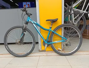 Specialized Size 29