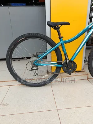 Specialized Size 29