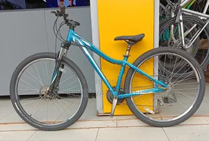Specialized Size 29