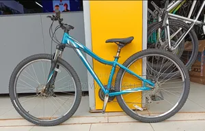 Specialized Size 29