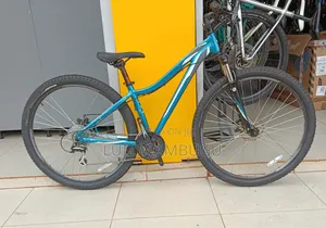 Specialized Size 29