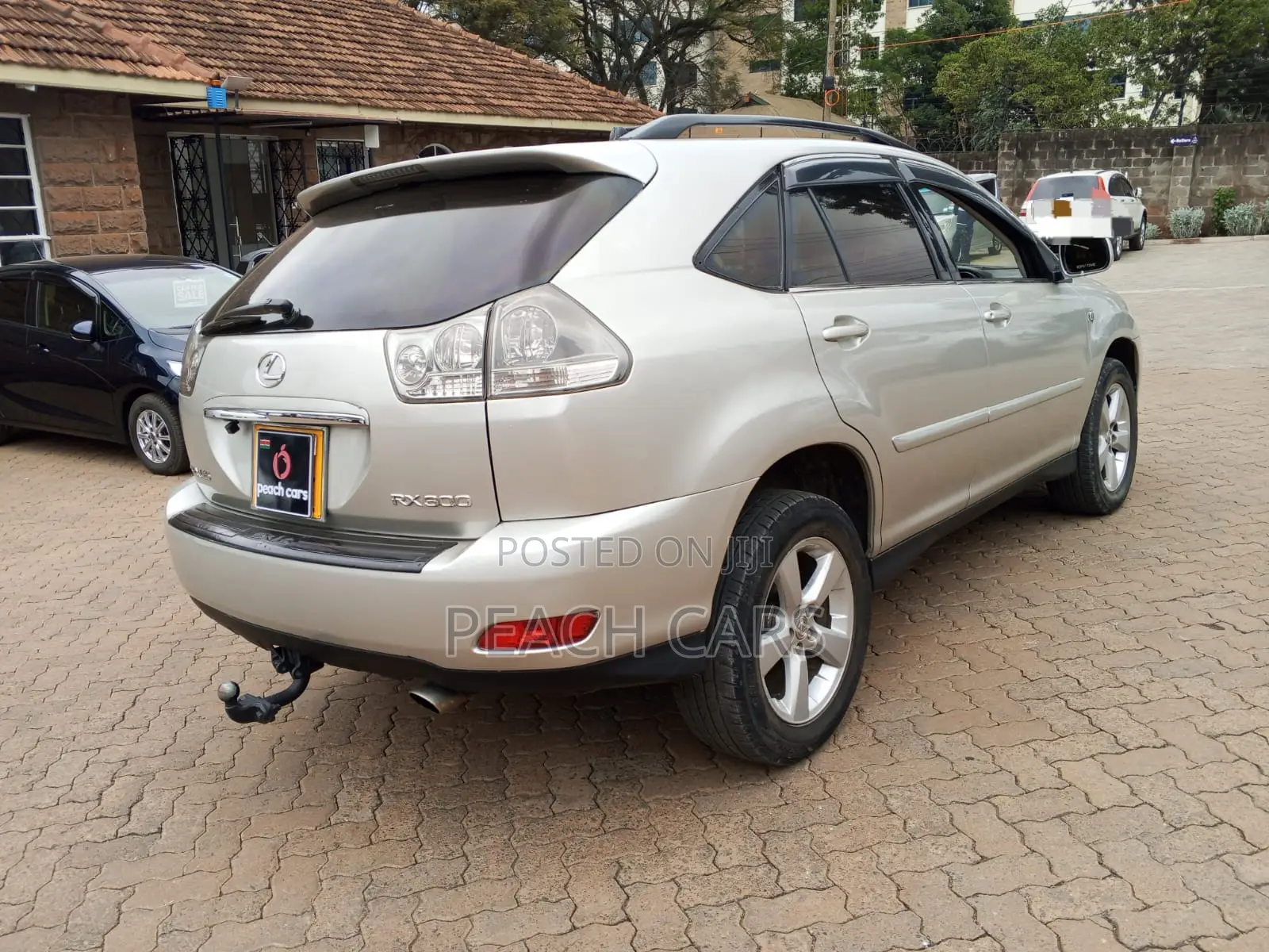 Lexus RX 2005 Silver
