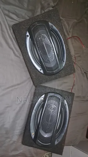 Pioneer Sound System