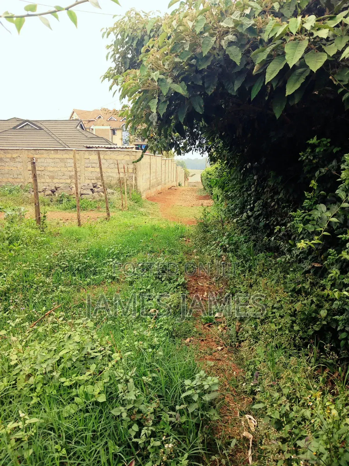 50 by 100ft Prime Plot in Gikambura Opposite Kilimo Hotel