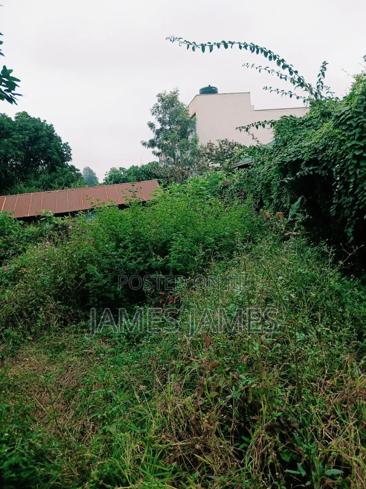50 by 100ft Prime Plot in Gikambura Opposite Kilimo Hotel