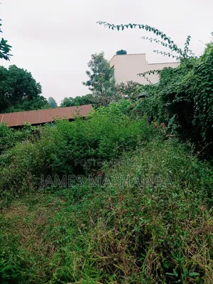 Prime Land