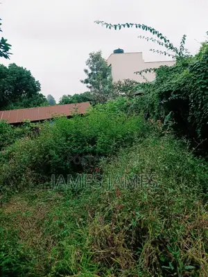 50 by 100ft Prime Plot in Gikambura Opposite Kilimo Hotel