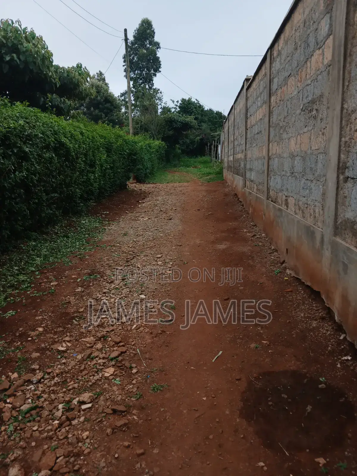 50 by 100ft Prime Plot in Gikambura Opposite Kilimo Hotel