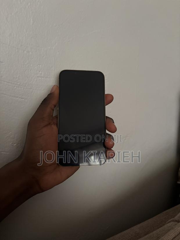 Apple iPhone 13 Pro 256 GB Silver