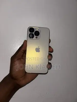 Apple iPhone 13 Pro 256 GB Silver