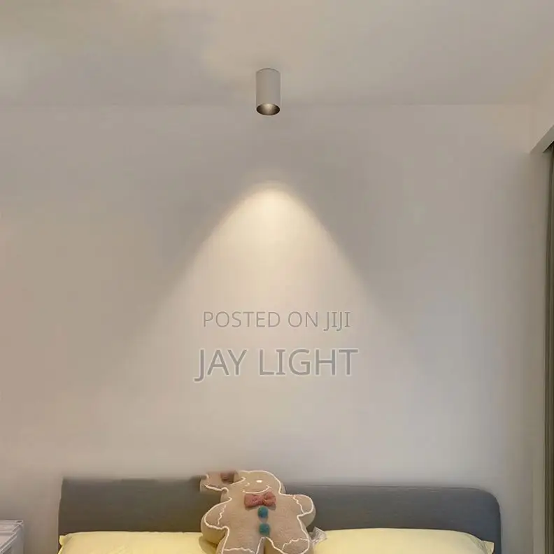 Led Downlight for Surface Mount Round Led Ceiling 220V Indoor Lighting