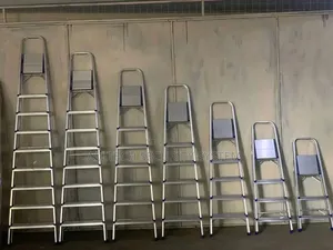 8 Step Ladder