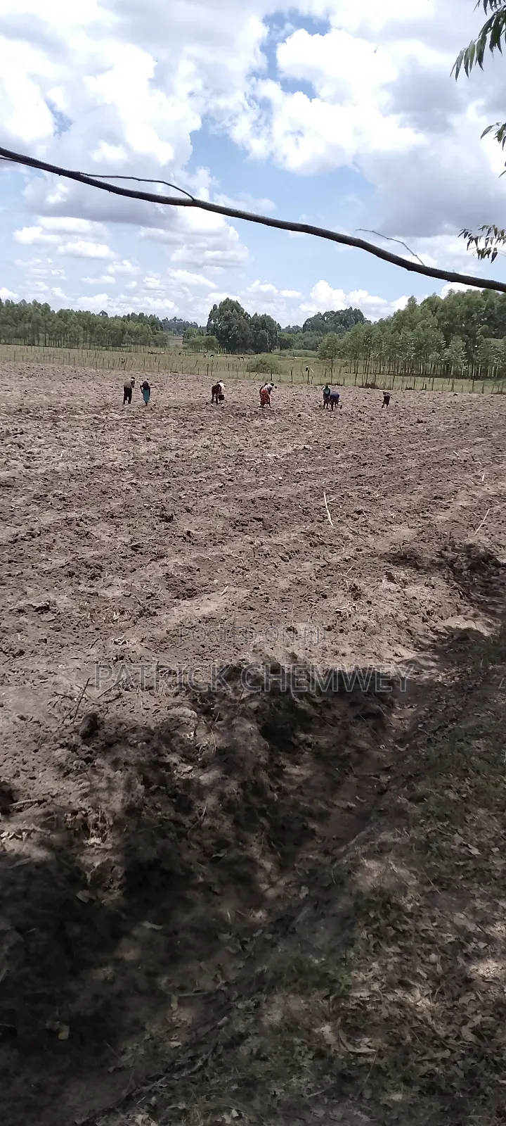 Land for Sale in Kapsitwet, Kwanza, Trans Nzoia