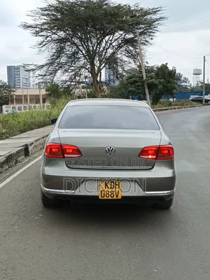 Volkswagen Passat 2013 Gray