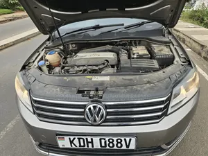Volkswagen Passat 2013 Beige
