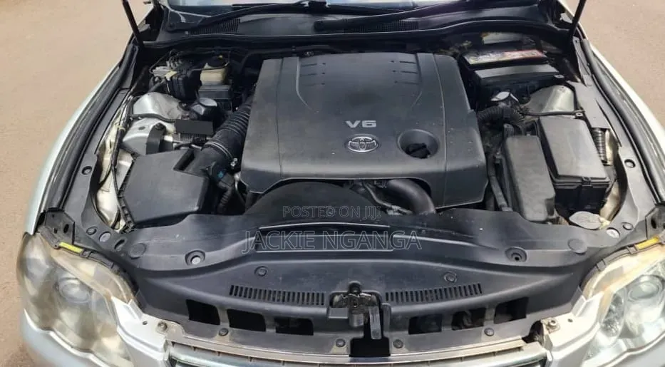 Toyota Mark X 2007 Silver