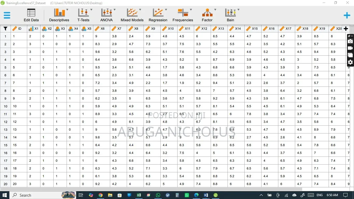 Statistics and Data Analysis Assignment Support